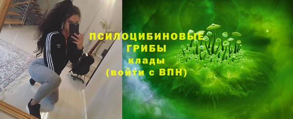 индика Гусиноозёрск