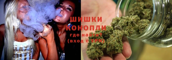 индика Гусиноозёрск