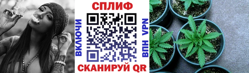 Купить закладки  Кропоткин  Марихуана THC 21% 